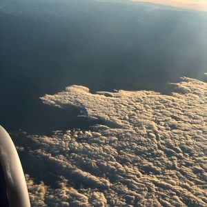 Meet your Posher, Bella